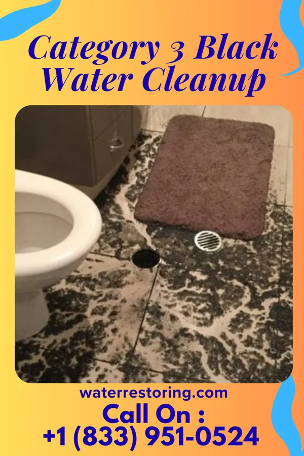 Category 3 Black Water Cleanup in Imbler, OR